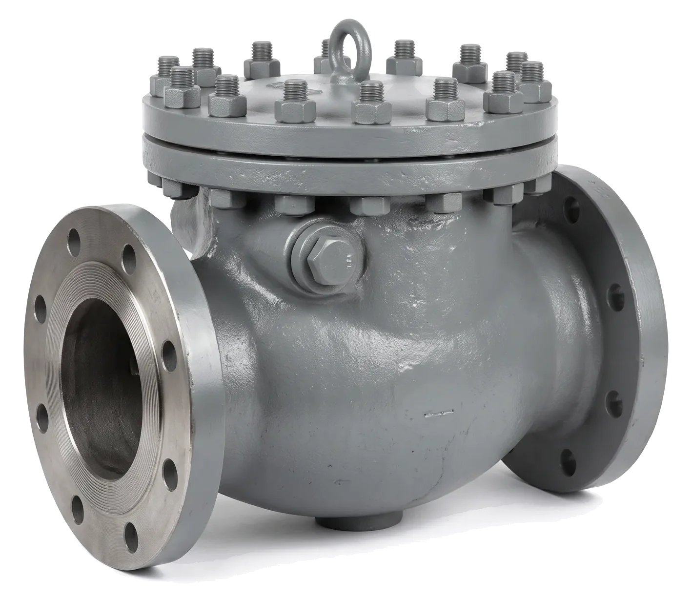 Cast steel swing check valve